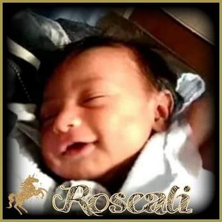 Profile Picture of Willie Palm (@willie.palm.14) on Facebook