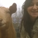 Hayley Bell - Instagram Profile Picture of Hayley Bell (@hayleydinohunter) on Instagram