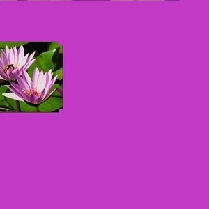 Robert Rochester - Myspace Profile Picture of Robert Rochester (@158051601) on Myspace