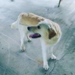 Profile Picture of kylenestle (@kylenestle420) on Instagram