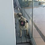 Profile Picture of Andrew Macken (@andrewmacken) on Instagram