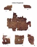 Profile Picture of Romans 3on Wikipedia