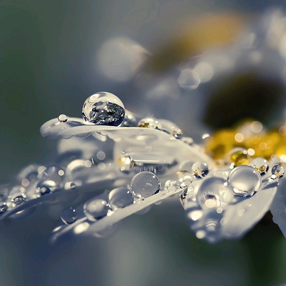 Profile Picture of Beverly Bedynek (@nannab54) on Poshmark