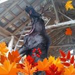 Profile Picture of Keith Jacko Cote (@keith.j.cote.9) on Instagram