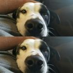 Profile Picture of Scott Rader (@radco17) on Instagram