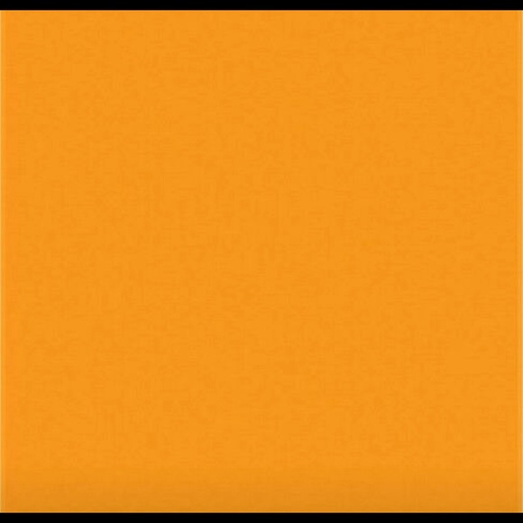 Profile Picture of Carlie Pranger (@carliepranger) on Poshmark