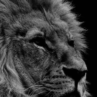 Profile Picture of Carl Andrew Paz (@carlandrewpaz) on Twitter