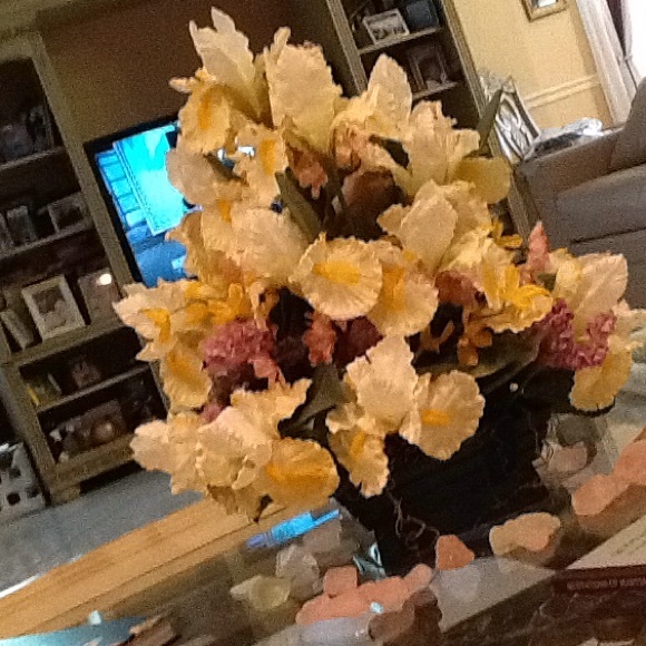 Profile Picture of Clementine Williams (@messymae1) on Poshmark