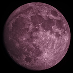 Profile Picture of Neil Macleod (@neilsdragonsfire) on Flickr