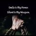 Profile Picture of Chandra Haas (@chandra.haas.56) on Facebook