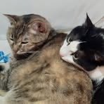 Profile Picture of Roberta Checchi (@roberta.checchi.58) on Facebook