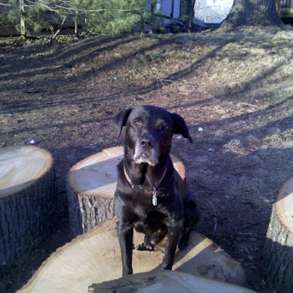 Profile Picture of Leonard Walding (@leonardwalding) on Poshmark