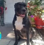 Profile Picture of Miguel Onate (@miguel.onate.391) on Facebook