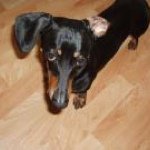 Profile Picture of Sharon Schmidt (@shazzer1973) on Instagram