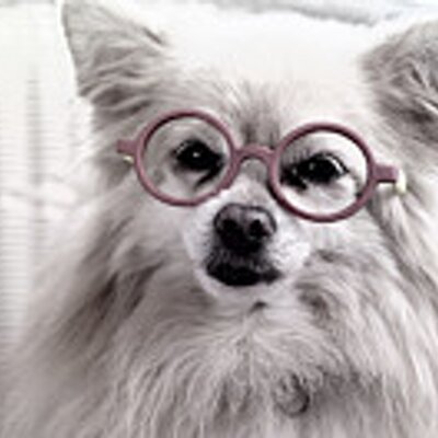 Profile Picture of Eric Gibbons (@OlderAndWiserNY) on Twitter