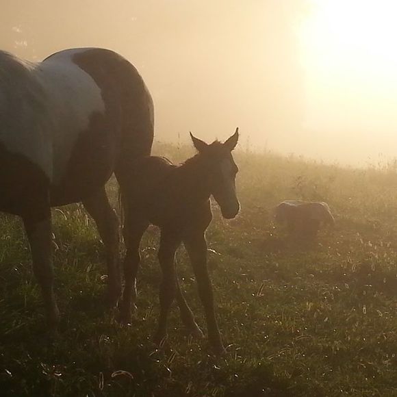 Josh Fluharty - Poshmark Profile Picture of Josh Fluharty (@fluharty_j) on Poshmark