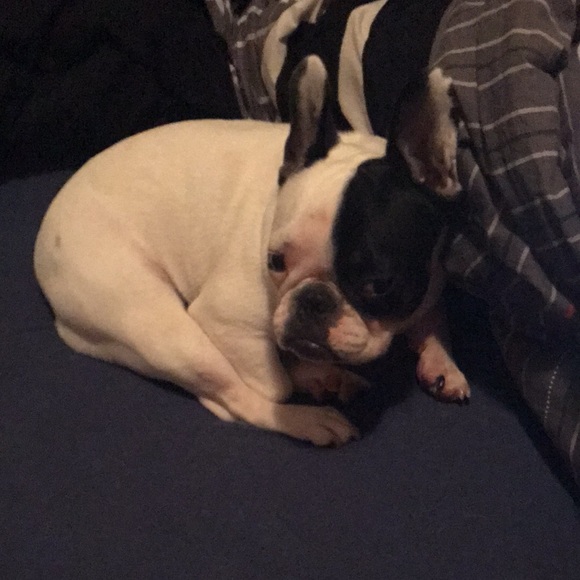 Profile Picture of Yibin Huang (@kyle0990) on Poshmark