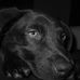 Profile Picture of Amy Repp (@amy.repp.35) on Facebook