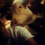 Profile Picture of Michael Schnitzler (@schnitzler232) on Instagram