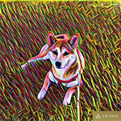 Profile Picture of David Hamerman (@bighammer77) on Twitter