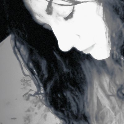 Profile Picture of SusanMaxwellSchmidt (@RealiTeeChick) on Twitter