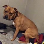 Profile Picture of Devon Edmonds (@Devon-Edmonds) on Facebook