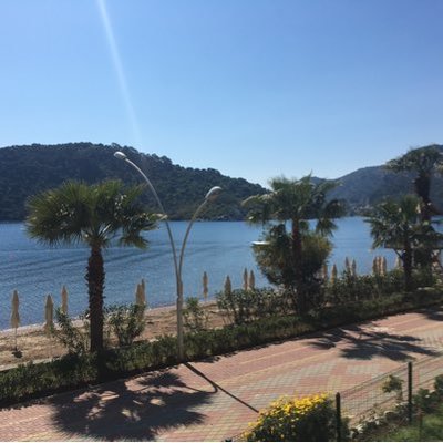 Profile Picture of Richard Wilton (@Richard_Wilton_) on Twitter