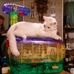 Profile Picture of Tracy Littell (@tracy.littell.98) on Facebook