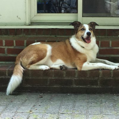 Nolan Pace - Twitter Profile Picture of Nolan Pace (@NolanPace7) on Twitter