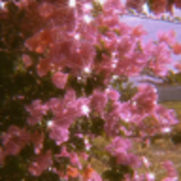 Profile Picture of Aubrey raney Raney (@aubreyjune17) on Poshmark