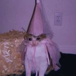 Profile Picture of Caitlin Rivera (@cait.rivera) on Instagram