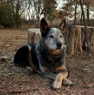 Profile Picture of Nathan Sexton (@nathan.sexton.50) on Facebook