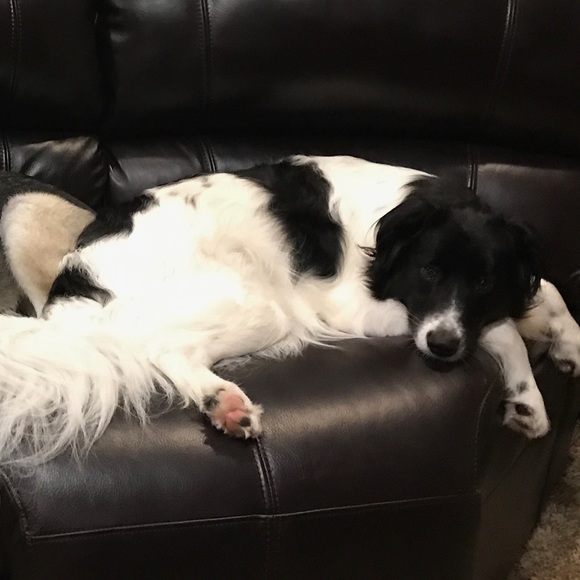 Profile Picture of Tim Stuewer (@tstuewer) on Poshmark