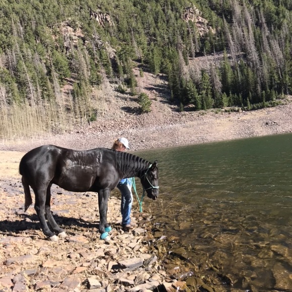 Profile Picture of Alexa Gerbig (@alexagerbig) on Poshmark