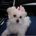 Profile Picture of Delphine Wilson (@delphine.wilson.1238) on Facebook