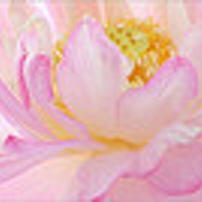 Profile Picture of Nancy Duff (@NancyDuff1) on Twitter