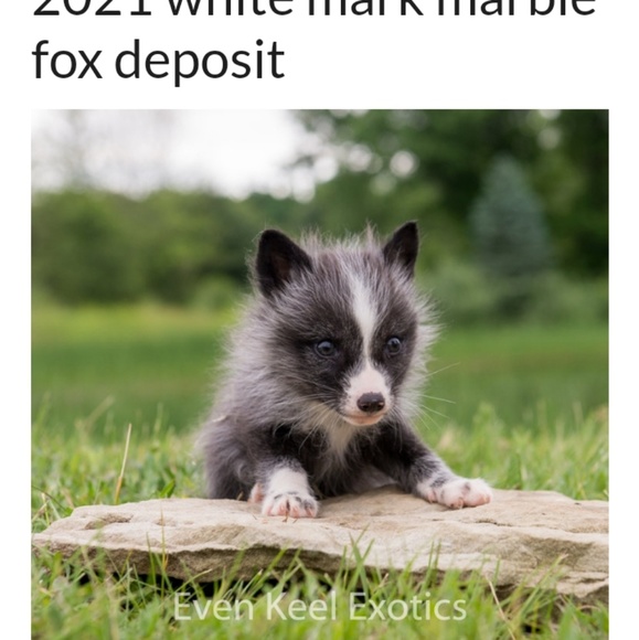 Profile Picture of Caleb Fuller (@caleb13351) on Poshmark