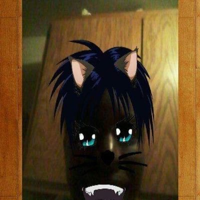 Profile Picture of Brandon Kellum (@BrandonKellum6) on Twitter