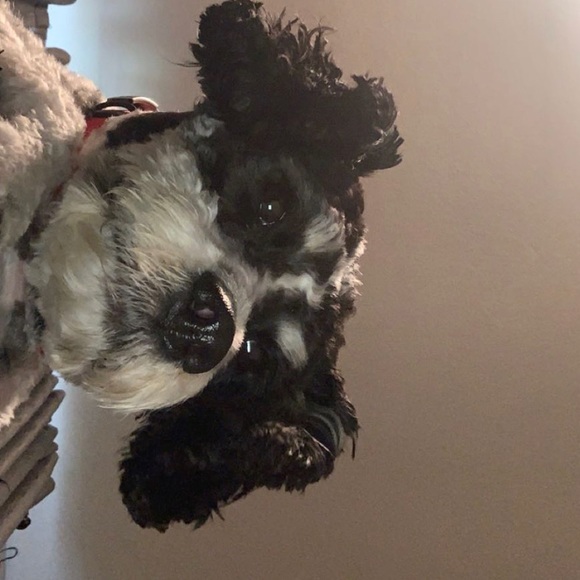 Profile Picture of Jaylyn Sager (@jaylynsager) on Poshmark