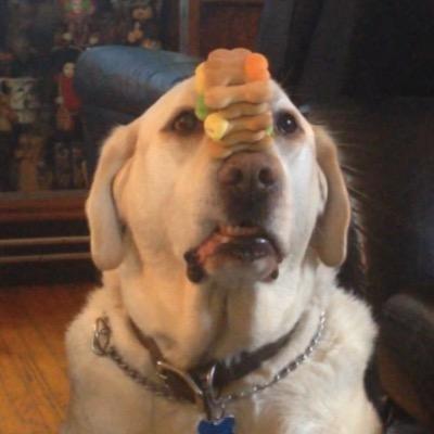 Profile Picture of Jonah Phillips (@Jobu_the_Boju) on Twitter