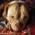 Profile Picture of Jeff Stuckey (@jeff.stuckey.39) on Facebook