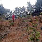 Profile Picture of Victor Perez (@VictorPerez-r3c) on Youtube