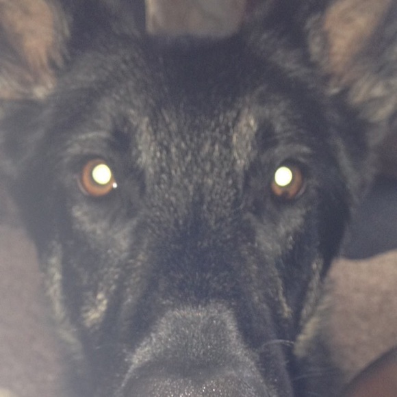 Profile Picture of Nicole Jasicki (@nicolejasicki) on Poshmark