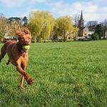 Profile Picture of Hermes Aurelio Diaz Fernández (@hermesaurelio) on Instagram