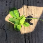 Profile Picture of Isel Martinez (@Isel-Martinez) on Facebook