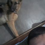 Profile Picture of Luis Zegarra (@luis.zegarra.1675) on Instagram