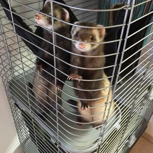 Profile Picture of Cody Lee (@leckness) on Myspace