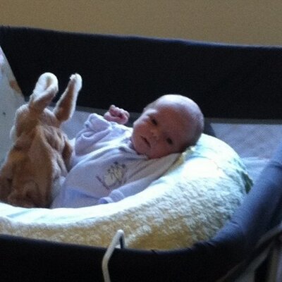 Profile Picture of Mariah Kramer (@KramerMariah) on Twitter