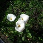 Profile Picture of Nancy Reda (@nancy.reda) on Instagram