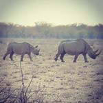 Profile Picture of Leo Rupp (@_leo.rpp_) on Instagram